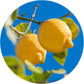 Lemon fruit essence