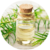 Tea tree leaf oil