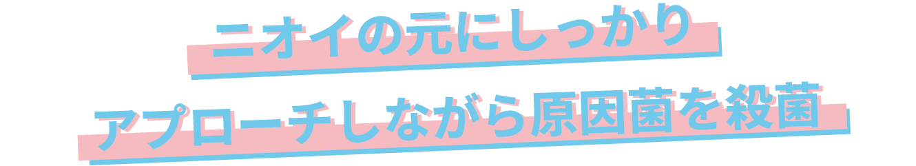 ニオイの原因にしっかりアプローチしながら原因菌を殺菌